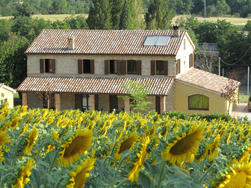 Agriturismo La Vecchia Fonte Guest House Castelbellino Ngoại thất bức ảnh
