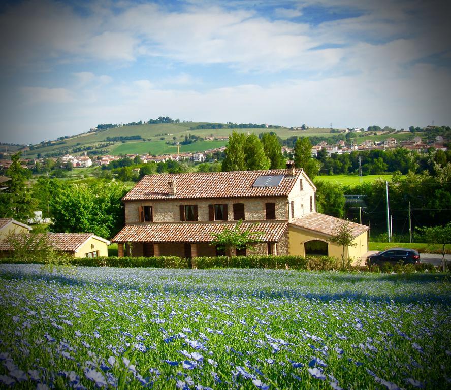 Agriturismo La Vecchia Fonte Castelbellino Ngoại thất bức ảnh